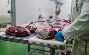 Habilitação de 38 novas unidades de produção de carne amplia exportações do Brasil para a China