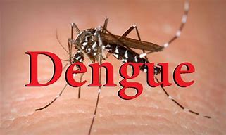 Bahia está entre as cinco unidades da federação com tendência de alta nos casos de Dengue