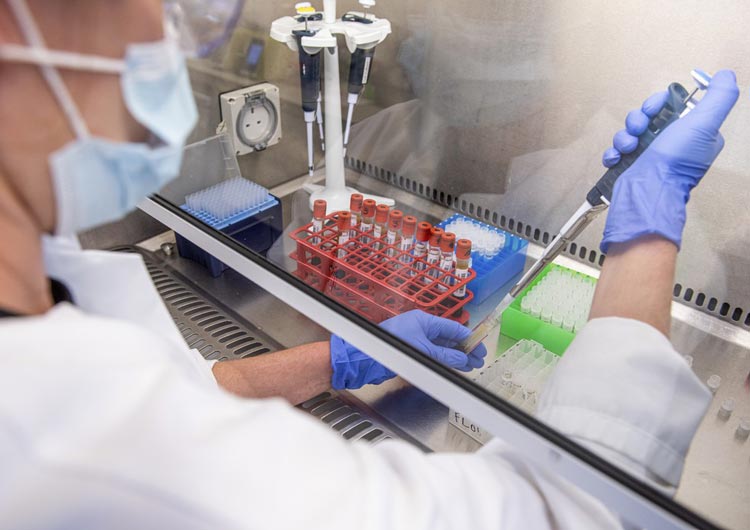 Coronavírus: Anvisa aprova compra de 2 milhões de doses da vacina de Oxford