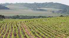 Brasil vai desacelerar em 2024, mesmo com mais investimentos