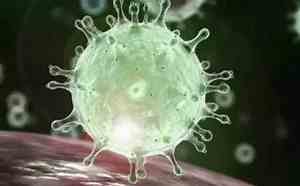 Ministério da Saúde confirma primeiro caso da nova variante da Covid-19 no Brasil