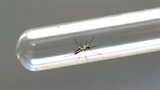 Caetité registra primeira morte por dengue em 2024