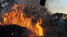 Amazônia bate recorde de focos de incêndio para o mês de fevereiro, mostra Inpe