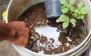 Dengue: Saúde encerra atividades do Centro de Operações em Emergência