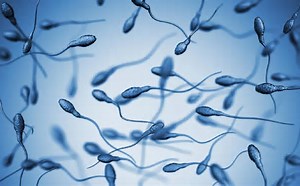 Gel anticoncepcional masculino tem 99% de eficácia em testes iniciais 