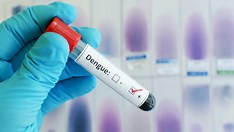 Cresce número de mortes e de cidades em epidemia de dengue na Bahia