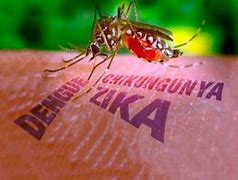 Mudanças climáticas afetam no aumento dos casos de dengue na Bahia