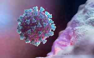 Pesquisa avalia sequelas da covid-19 na população brasileira