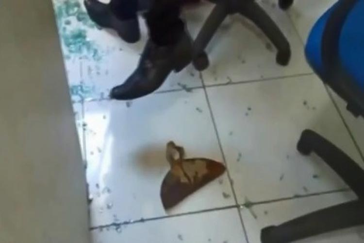 Tabocas do Brejo Velho: Enxada é arremessada na direção de prefeito durante posse