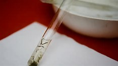 Bahia espera definição do Ministério da Saúde para incorporar vacina contra dengue na rede pública