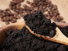 Estudante baiano utiliza borra de café para produzir biofertilizante