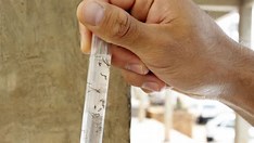 Vinte estados apresentam estabilidade ou queda na incidência de dengue