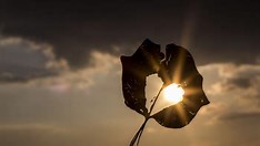 Nova onda de calor atinge 57 cidades baianas até domingo
