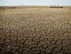 Bahia enfrenta sua pior seca desde 1980, agricultores e pecuaristas pedem ajuda ao governo