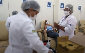 Chikungunya é mais mortífera do que se imaginava