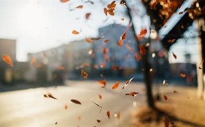 Após alta do calor no verão, Brasil deve ter outono mais quente que a média 