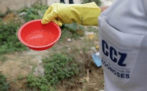 Dengue na Bahia: 38 cidades decretam epidemia da doença