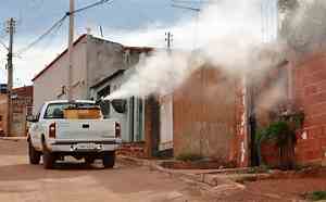 Ivermectina não é eficaz contra dengue, alerta Ministério da Saúde 