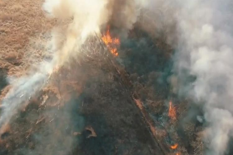 Incêndio destrói 90 hectares de vegetação em Guanambi