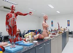 Medicina da UniFG entre as melhores da Bahia, diz ranking universitário da Folha de São Paulo