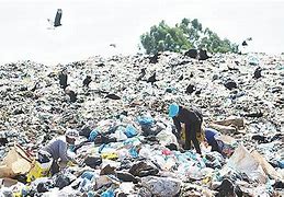 Com 80% de cidades ainda com lixões, política de resíduos sólidos da Bahia segue estagnada 10 anos após ser sancionada