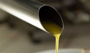 Rio de Contas produz primeiro azeite extravirgem do Nordeste