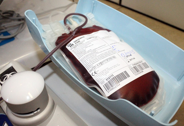 Bahia recebeu mais de 56 mil novos doadores de sangue em 2020