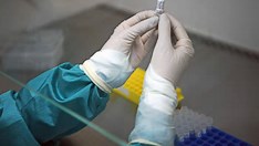 Brasil ainda falha na testagem de Covid quatro anos após primeiro caso