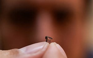 Ministério da Saúde infla repasses para dengue e distorce dados para minimizar impacto da doença