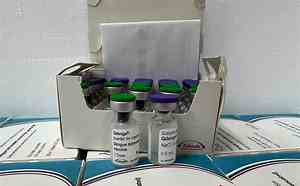 Bahia recebe as primeiras doses da vacina contra dengue