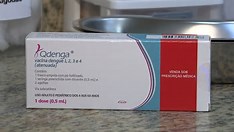 Vacinação contra dengue vai priorizar faixa etária de 6 a 16 anos