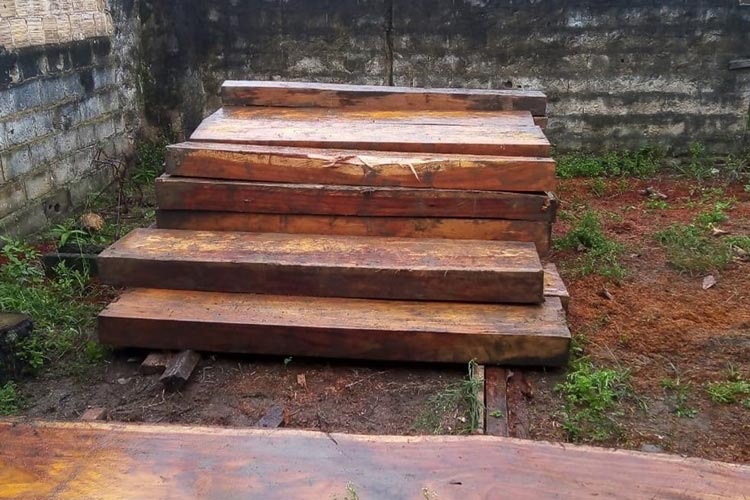 Carga com madeira nativa sem licença é apreendida e motorista é autuado no sul da Bahia 