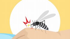 Casos de dengue sobem mais de 300% em 2024 e Saúde diz que pico ainda está por vir 