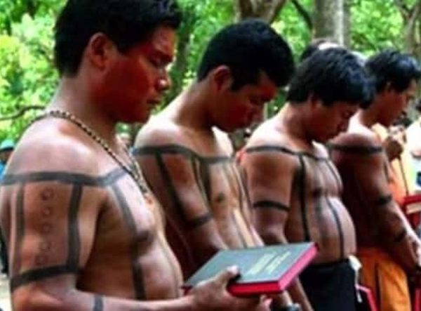 Bolsonaro é a ameaça mais séria aos indígenas desde a Constituição de 1988, avalia revista científica britânica