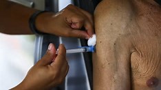 Registro de vacina contra bronquite é aprovado pela Anvisa