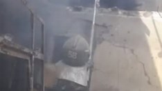 Criança incendeia casa após pais devolverem cães achados na rua