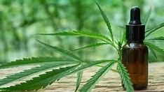 Em audiência na Câmara, políticos aprovam uso medicinal da maconha 