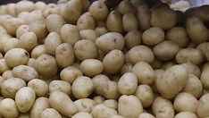 Batata-inglesa e leite longa vida puxam inflação em junho